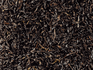 Earl Grey Earl Grey