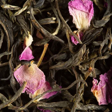 Passion de fleur