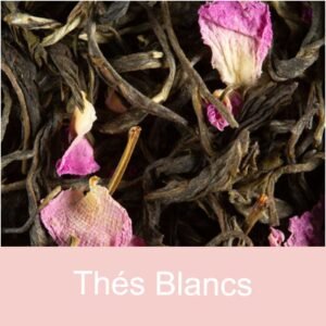 theblanc Thés Blancs